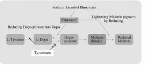 Sodium Ascorbyl Phosphate Стабильный витамин C - sap ris1 1 - 4